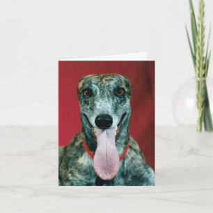 De Agradecimento Abrigo do cartão do salvamento do cão do galgo d