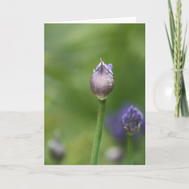 De Agradecimento Cartão Africano Lily (Frente)