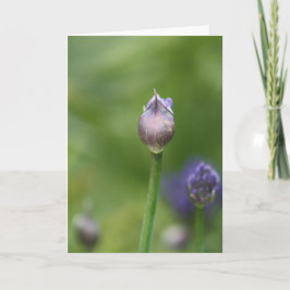 De Agradecimento Cartão Africano Lily