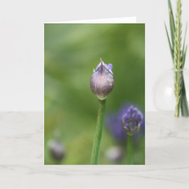 De Agradecimento Cartão Africano Lily