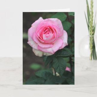De Agradecimento Cartão branco rosa rosa rosa