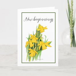 De Agradecimento Cartão Daffodil