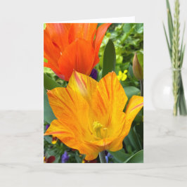 De Agradecimento Cartão Nota em Branco com Tulipas Brilhantes