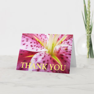 De Agradecimento Cartão Stargazer Lily Obrigado (Dentro Vazio)
