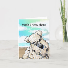 De Agradecimento Cartão Terrier Curioso Beach Wheaten