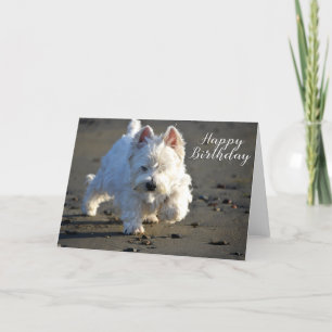 De Agradecimento Feliz aniversário Beachcombing Westie Cartão com f