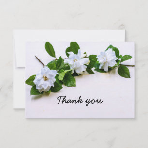 De Agradecimento Gardenia flores Simpatia Obrigado Cartão Plano