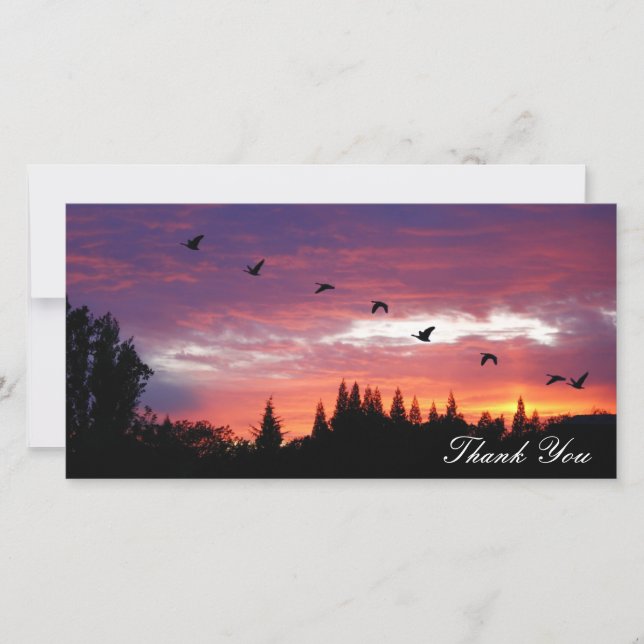 De Agradecimento "Obrigado", cartão com fotos (Frente)