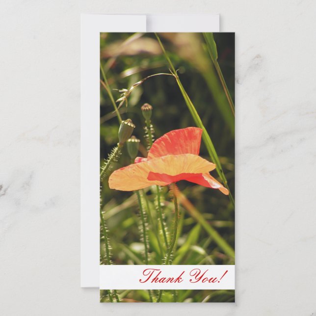 De Agradecimento Obrigado Cartão com fotos (Frente)