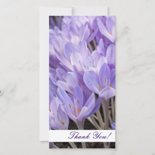 De Agradecimento Obrigado Cartão com fotos