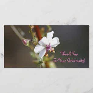 De Agradecimento Obrigado, cartão com fotos