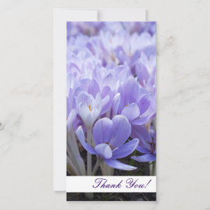 De Agradecimento Obrigado Cartão com fotos