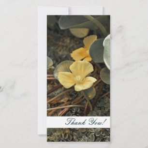 De Agradecimento Obrigado Cartão com fotos