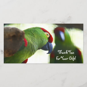 De Agradecimento Obrigado, cartão com fotos