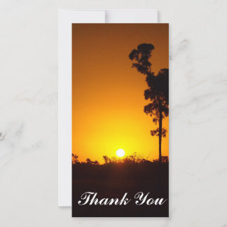 De Agradecimento Obrigado cartão com fotos - pôr do sol
