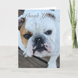 De Agradecimento Obrigado cartão do buldogue