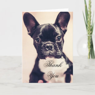 De Agradecimento Obrigado cartão do cão do buldogue francês