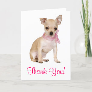 De Agradecimento Obrigado Chihuahua Puppy Dog Cartão Saudação
