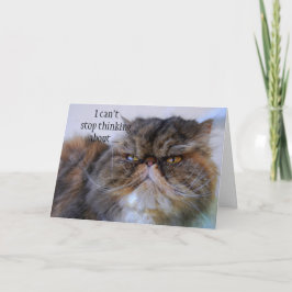 De Agradecimento Obrigado, Gatinho Persa Do Calico, Cartão Princesa