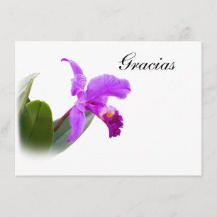 De Agradecimento Obrigado, Gracias, espanhol, cartão da orquídea