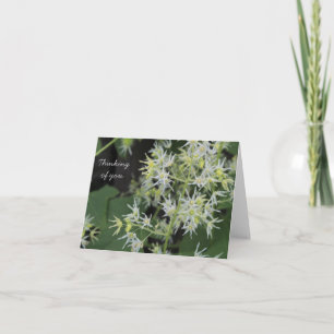 De Agradecimento Pensando no seu cartão - flores