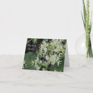 De Agradecimento Pensando no seu cartão - flores