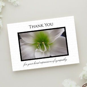 De Agradecimento Simpatia Obrigado Cartão Plano - Amaryllis