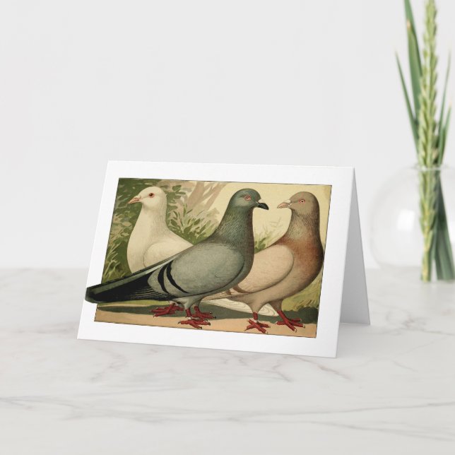De Agradecimento Vintage Pigeons - Cartão (Frente)