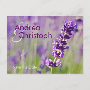 De Anúncio Alfazema • cartão postal