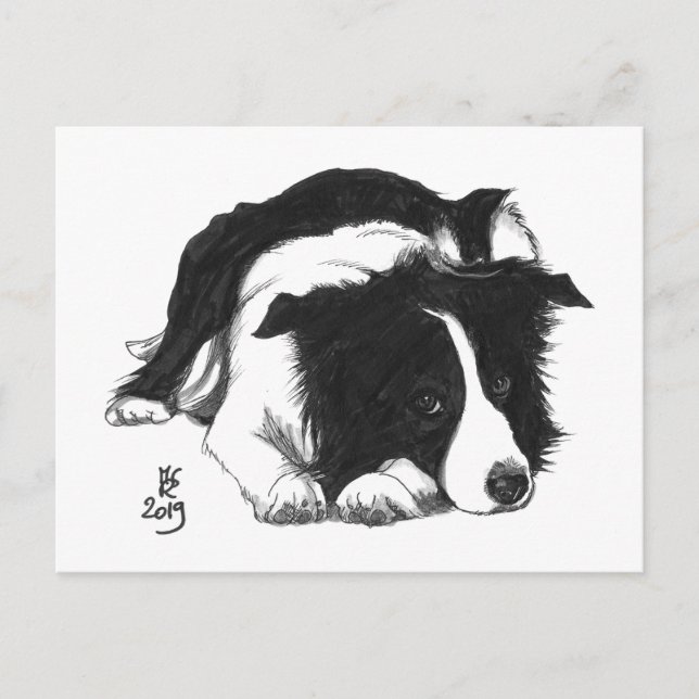 De Anúncio Cartão postal do Border Collie do Doggust 2019 (Frente)