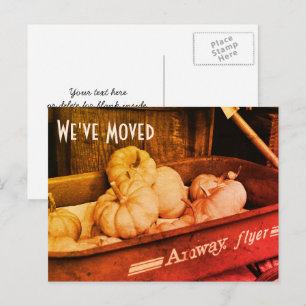De Anúncio Cartão postal do novo endereço Sepia Pumpkins