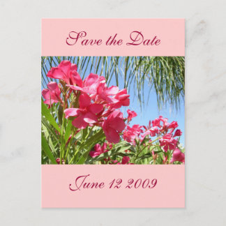 De Anúncio Cartão postal Save the Date Oleander