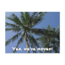 Mudamos - Palm Trees no Cartão Postal