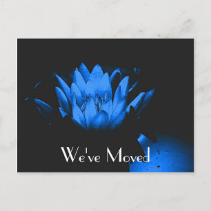 De Anúncio Novo cartão postal floral Endereço Blue Lily