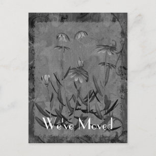 De Anúncio Novo Endereço Daisy Art Cartão Postal Floral