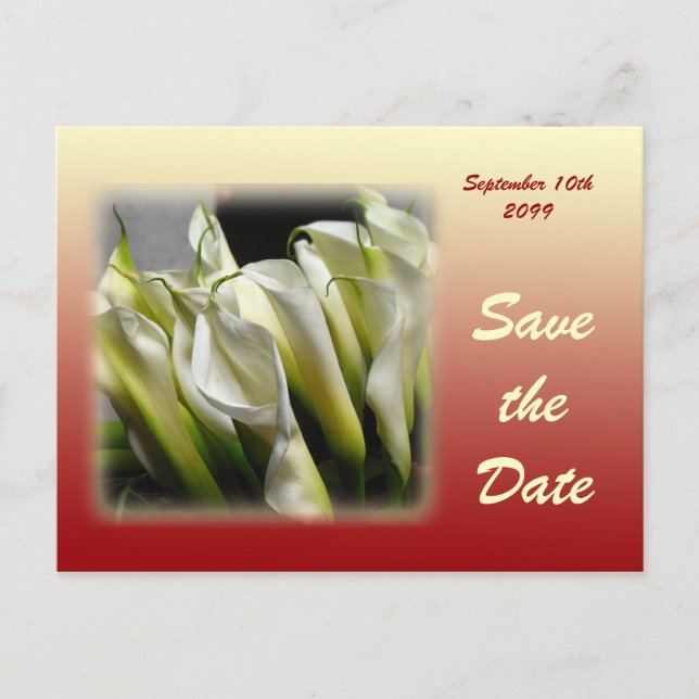 De Anúncio Salve o cartão postal Date - White Calla Lily (Frente)