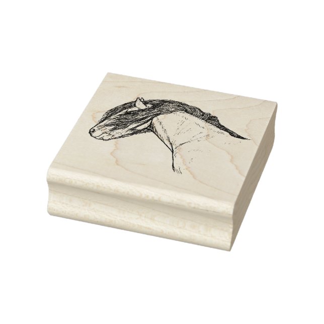 De Borracha Carimbo (Carimbo)