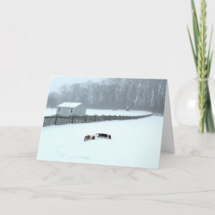 De "cães Basset cartões da série no Wilds"