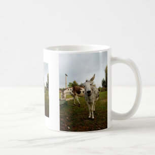 De Café A caneca inquisidora do asno