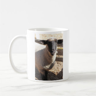 De Café A ovelha é especial! Caneca