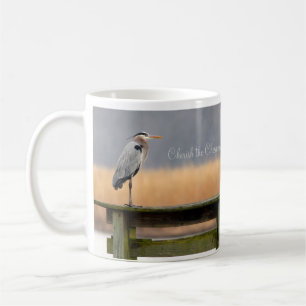 De Café Ame a caneca do Chesapeake