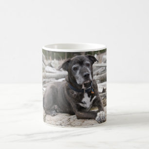 De Café American Staffordshire Terrier - Caneca