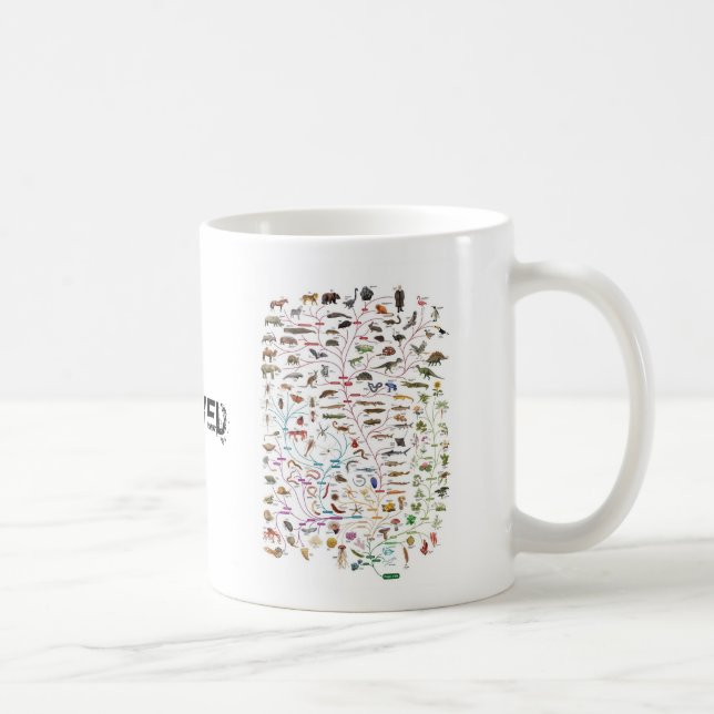 De Café Árvore evoluída da caneca da vida (Direita)