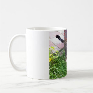 De Café Bailey, a caneca do gato