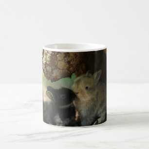 De Café Beijando a caneca dos coelhos