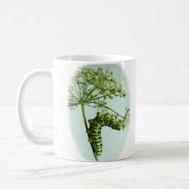 De Café Black Swallowtail - Lagarta que come caneca