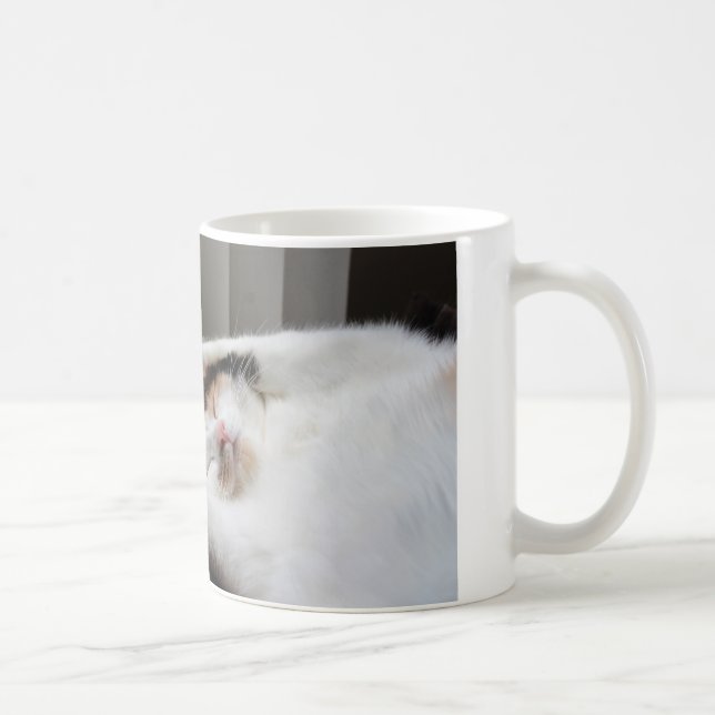 De Café Calico dormindo na caneca do sol (Direita)