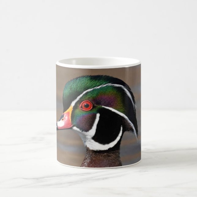 De Café Caneca (Centro)