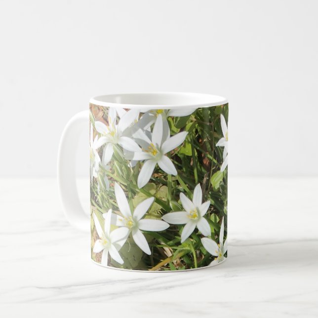 De Café Caneca (Frente Esquerda)