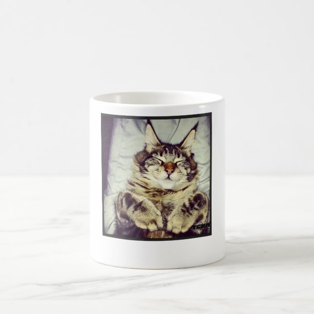 De Café Caneca (Centro)